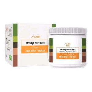 אם.ג'י (M.G) – סאטיבה T1/C22