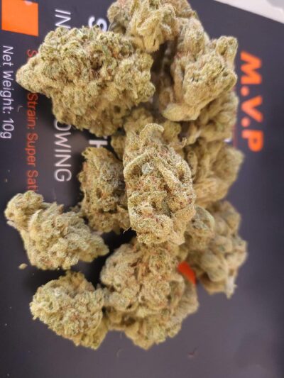 אם.וי.פי (M.V.P) – סאטיבה T22/C4