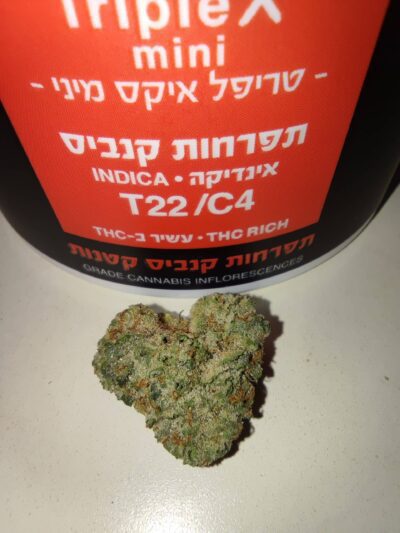 אם טי קיי (M.T.K) – אינדיקה T22/C4