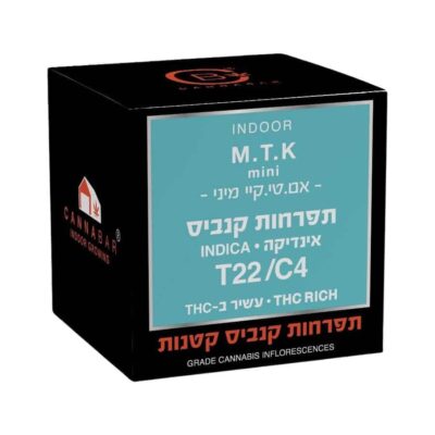 אם טי קיי מיני (MTK Mini) – אינדיקה T22/C4