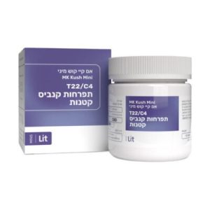 אם קיי קוש מיני (MK Kush Mini) – אינדיקה T22/C4