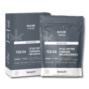 אמ.או.צ'י (M.O.Chi) – היבריד T22/C4