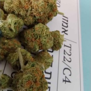 אמזו (Amzo) – אינדיקה T22/C4