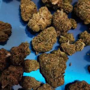 אמזוניקו (Amazonico) – סאטיבה T22/C4