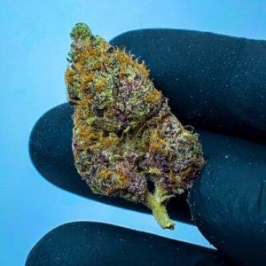 אן (N) – אינדיקה T22/C4