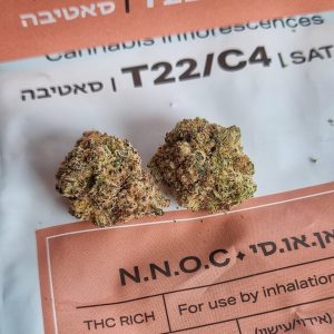 אן.אן.או.סי (N.N.O.C) – סאטיבה T22/C4