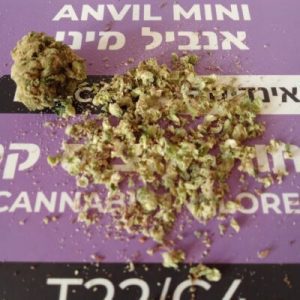 אנביל מיני (Anvil Mini) – אינדיקה T22/C4