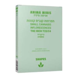 אנימה מיני (Anima Mini) – היבריד T22/C4
