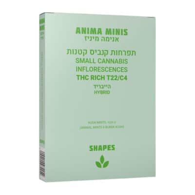 אנימה מיני (Anima Mini) – היבריד T22/C4