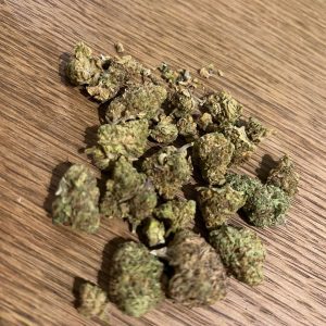 אנימון מיני (Anemone Mini) – היבריד T22/C4