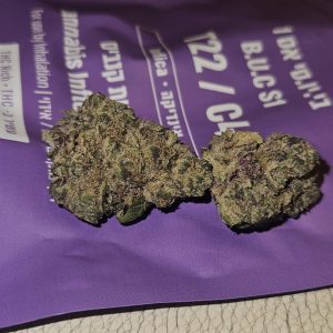 אס 1 (S1) – אינדיקה T22/C4