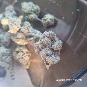 אס (S) – היבריד T22/C4