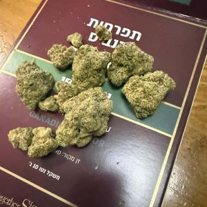 אס.איי.פי (S.A.P) – אינדיקה T22/C4