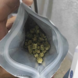 אס&פי 01 (S&P 01) – סאטיבה T22/C4