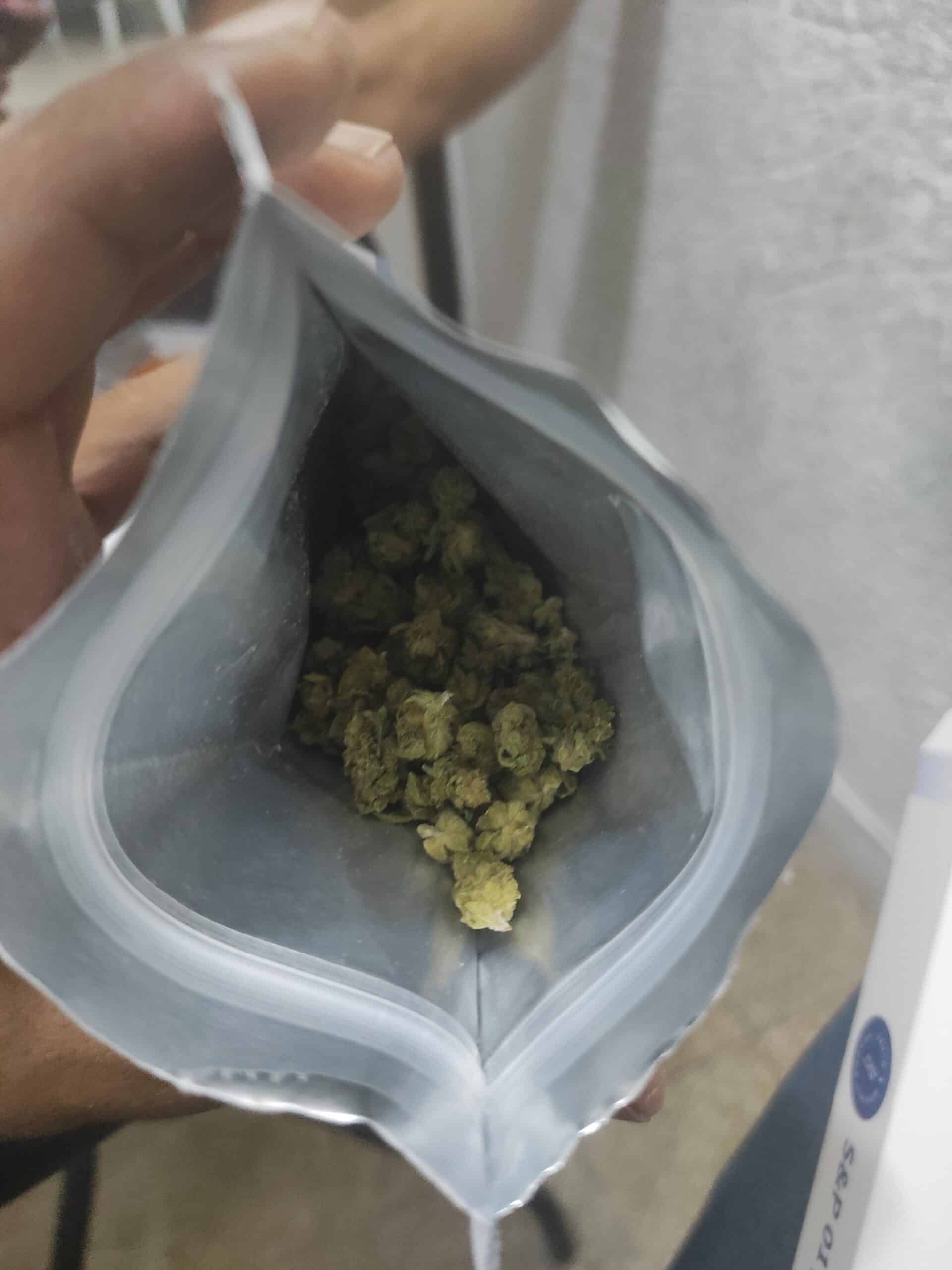 אס&פי 01 (S&P 01) – סאטיבה T22/C4