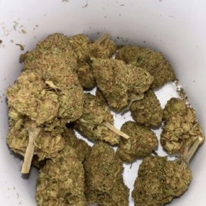 אס.קיי (S.K) – אינדיקה T22/C4