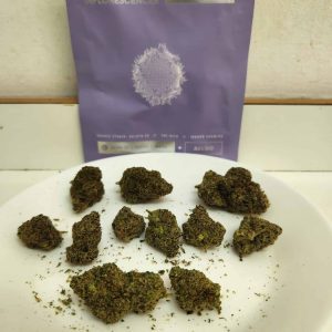 אסטרו 33 (Astro 33) – אינדיקה T22/C4