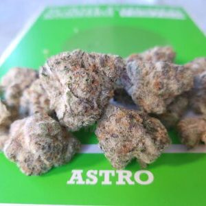 אסטרו אל בי (Astro L.B) – היבריד T22/C4