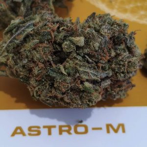 אסטרו אם (Astro M) – סאטיבה T22/C4