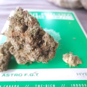 אסטרו אף.ג'י.טי (Astro F.G.T) – היבריד T22/C4