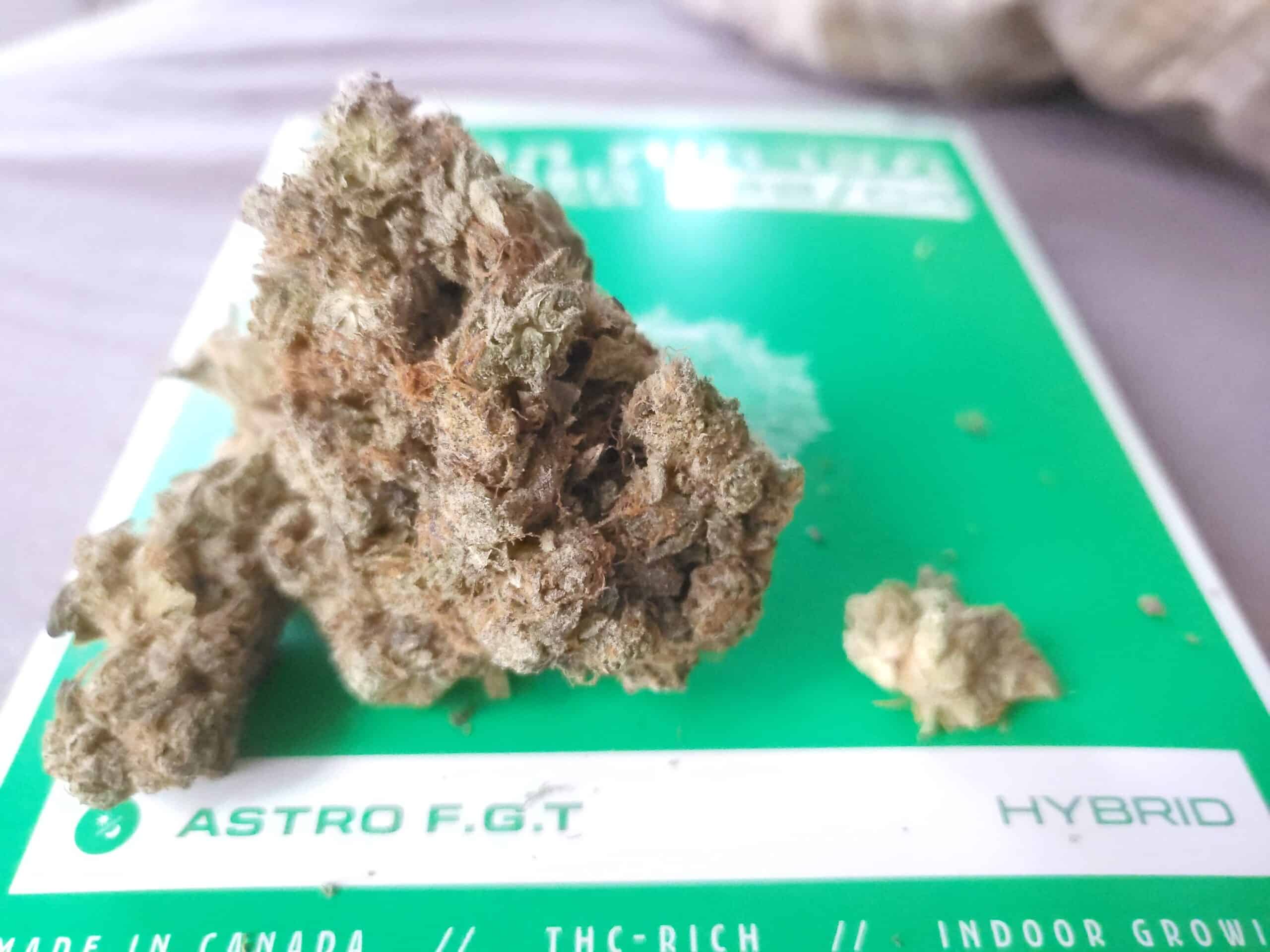 אסטרו אף.ג'י.טי (Astro F.G.T) – היבריד T22/C4