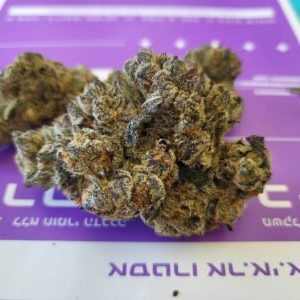 אסטרו אר.אי.אם (Astro R.E.M) – היבריד T22/C4