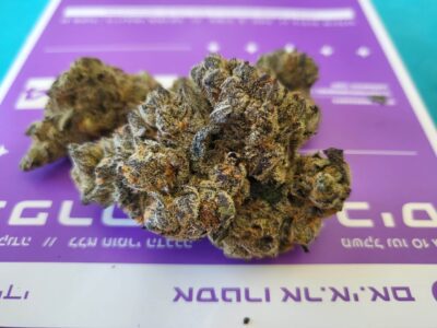 אסטרו אר.אי.אם (Astro R.E.M) – היבריד T22/C4