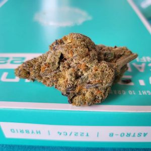 אסטרו-בי (Astro-B) – היבריד T22/C4