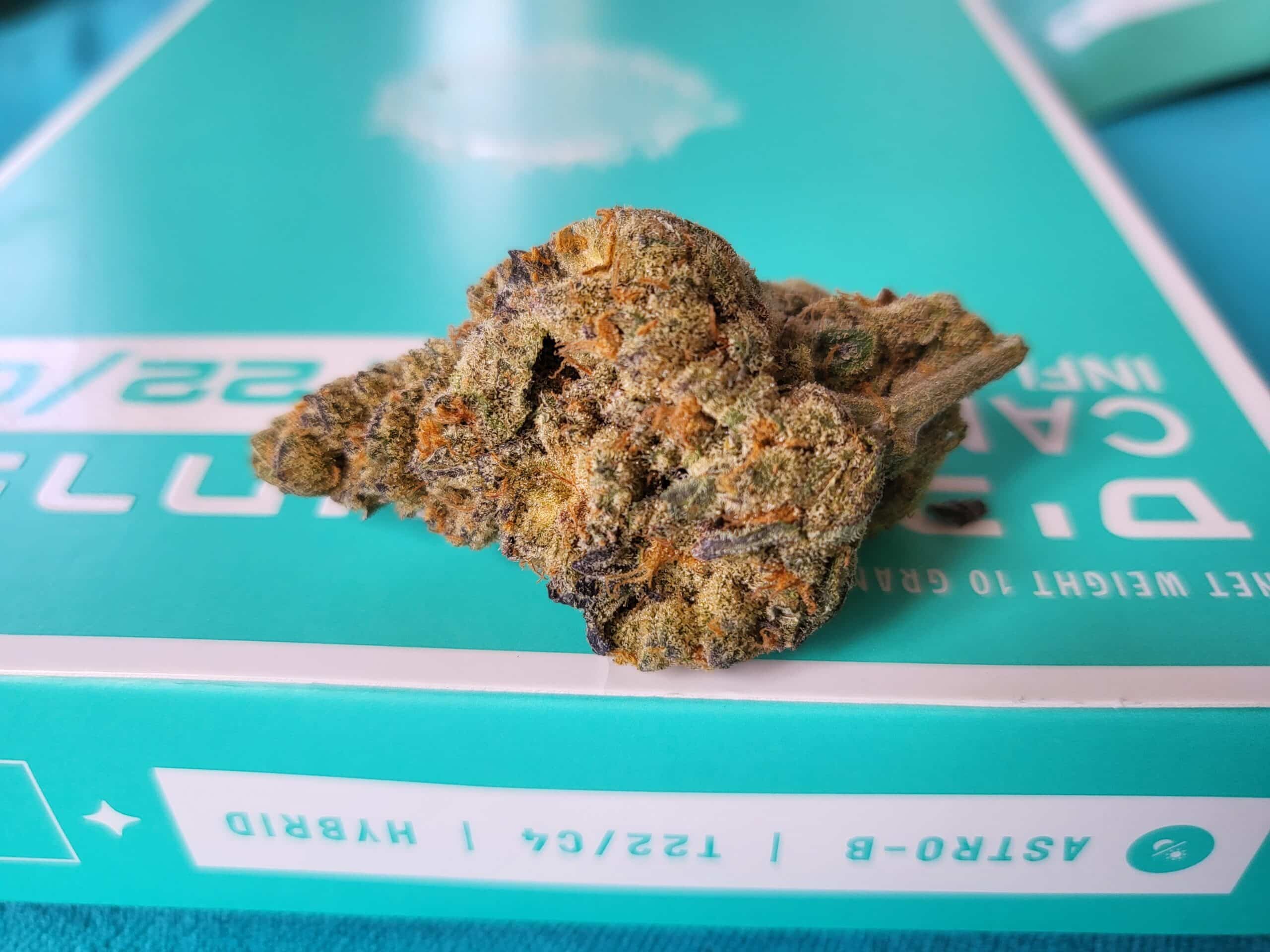 אסטרו-בי (Astro-B) – היבריד T22/C4