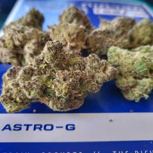 אסטרו-ג'י (Astro-G) – היבריד T22/C4