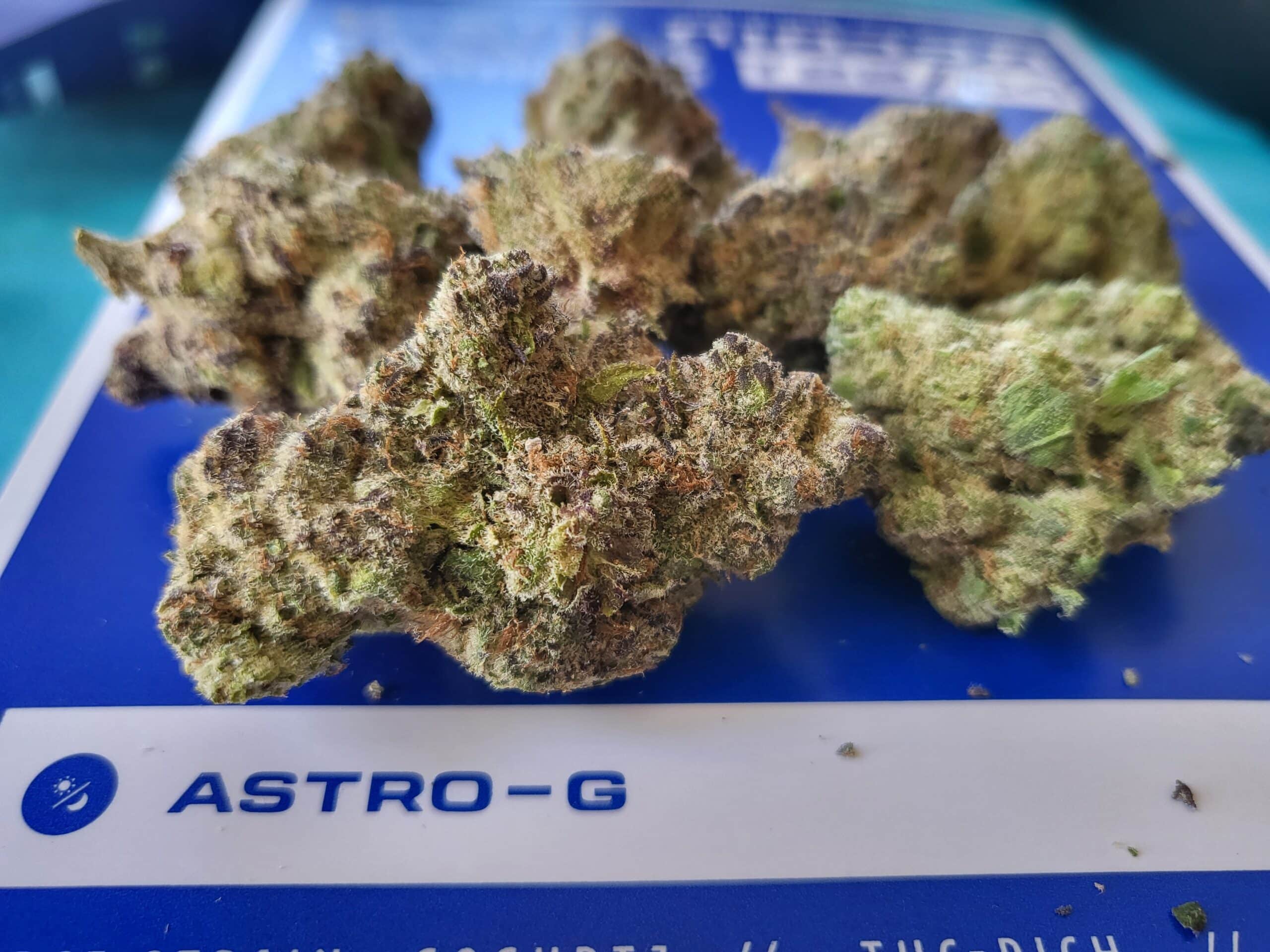 אסטרו-ג'י (Astro-G) – היבריד T22/C4