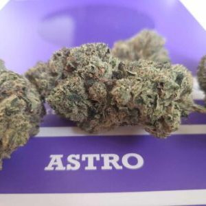 אסטרו ג'י אף (Astro G.F) – אינדיקה T22/C4