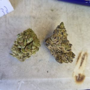 אסטרו-ג'י מיני (Astro-G Mini) – היבריד T22/C4