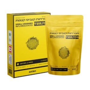 אסטרו ג'יי ג'יי מיני (Astro JJ Mini) – היבריד T22/C4