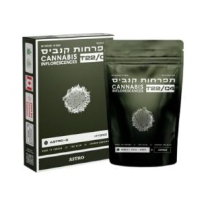 אסטרו-די (Astro-D) – היבריד T22/C4