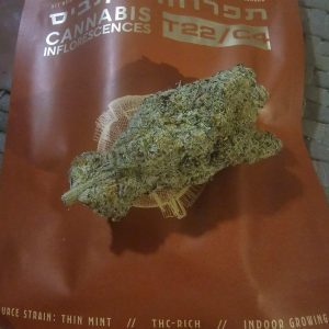 אסטרו מינטו (Astro Minto) – סאטיבה T22/C4