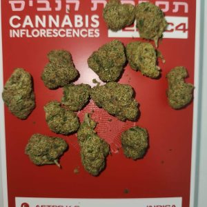 אסטרו קיי.סי (Astro K.C) – אינדיקה T22/C4