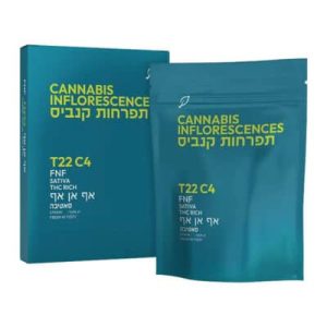 אף אן אף (FNF) – סאטיבה T22/C4 אף אן אף (FNF) – סאטיבה T22/C4