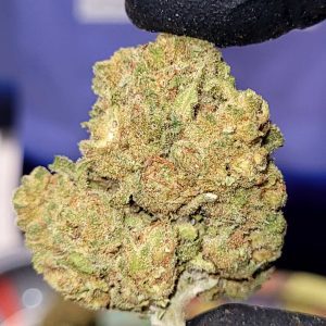 אפגן בי קוש (Afghan B Kush) – אינדיקה T22/C4