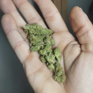 אפמ מיני (APM Mini) – אינדיקה T22/C4