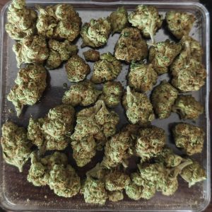 אקוודור (Ecuador) – אינדיקה T22/C4