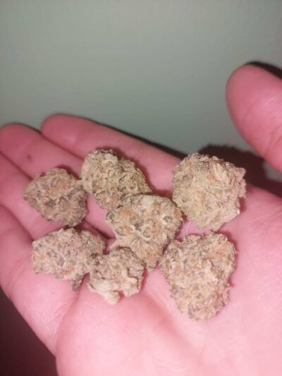 אר.2.די.2 (R.2.D.2) – אינדיקה T22/C4