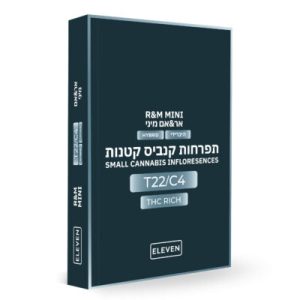 אר&אם מיני (R&M Mini) – היבריד T22/C4