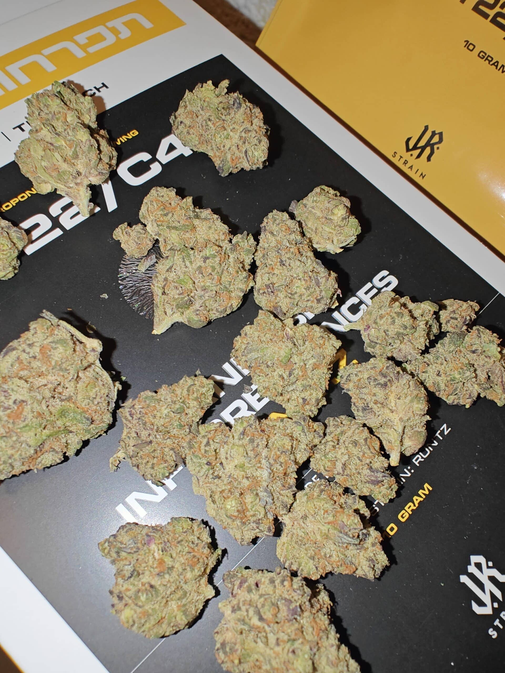 אר.אן.טי.זד (R.N.T.Z) – היבריד T22/C4