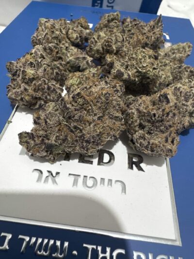 אר.אר (RR) – היבריד T22/C4