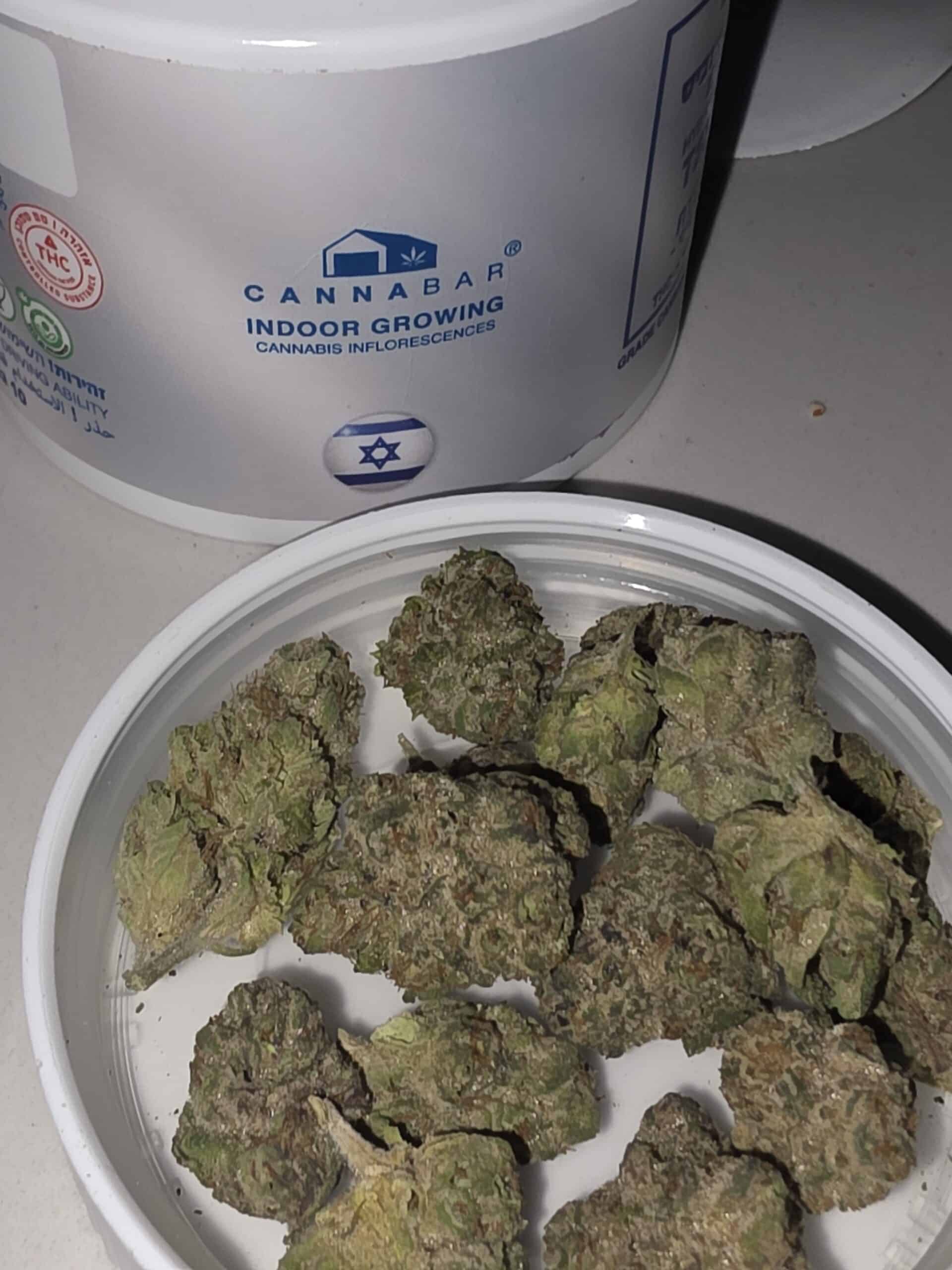 אר.טי.זד מיני (RTZ Mini) – היבריד T22/C4