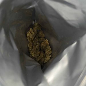 אר.סי (R.C) – סאטיבה T22/C4