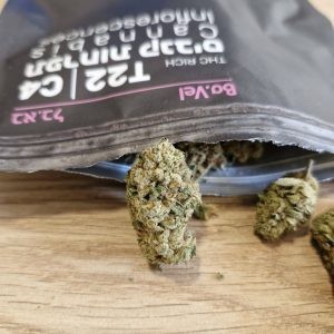 בא.בל (BA.VEL) – היבריד T22/C4