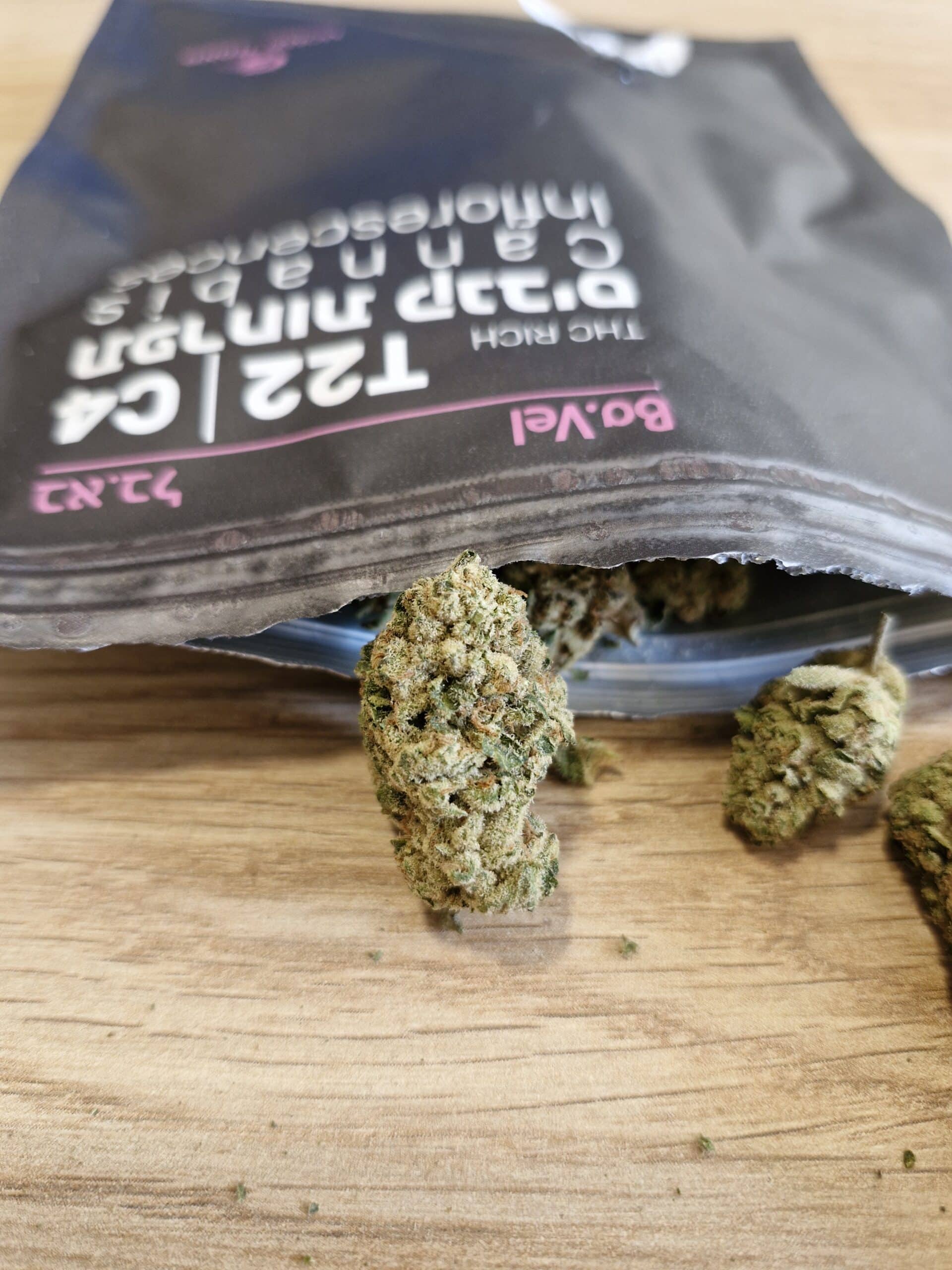 בא.בל (BA.VEL) – היבריד T22/C4