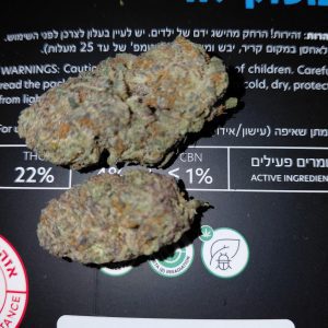 בוס.קילה (Boss.Killa) – אינדיקה T22/C4